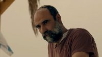 Fauda